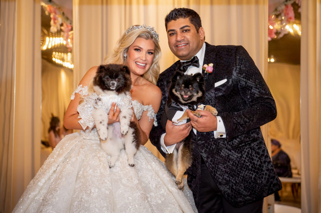 Dog ring bearer and dog flower girl at wedding 